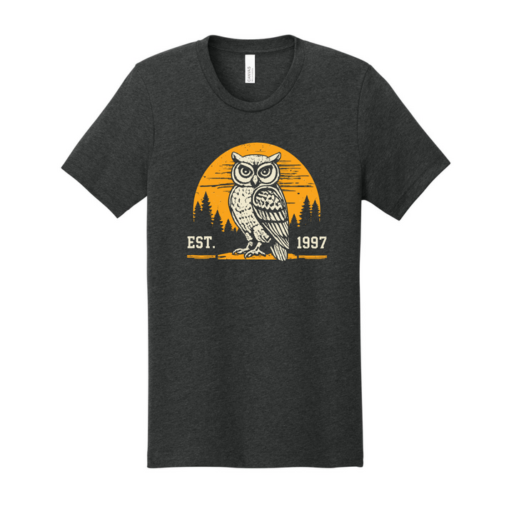WGU Men's Vintage Owl Sunset Graphic Tee